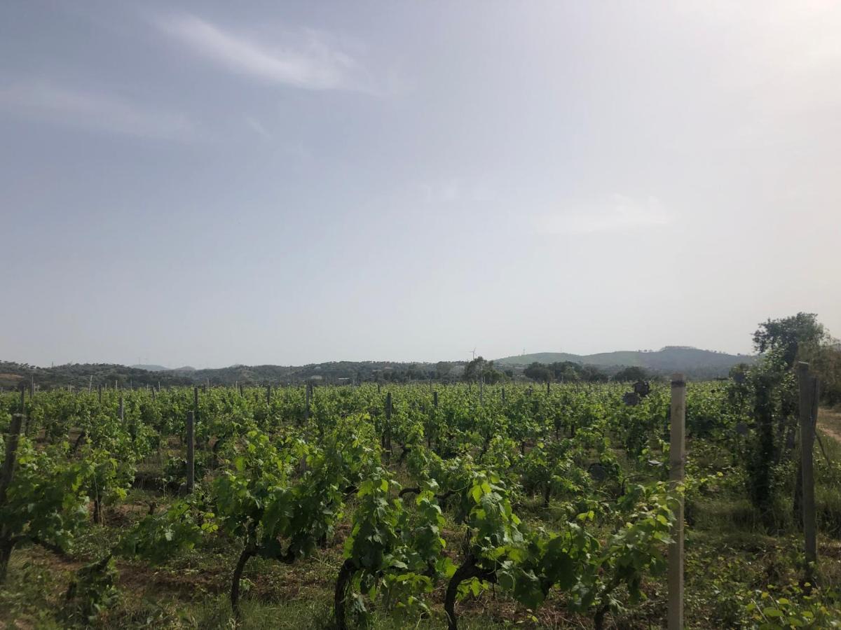 Agriturismo Donna Germana Cirò Marina Dış mekan fotoğraf